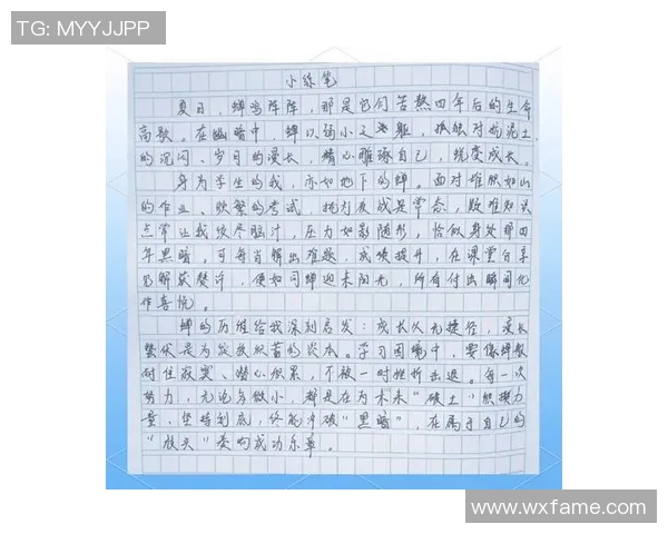 何思雨的成长之路与梦想追寻：从校园到职场的蜕变与探索