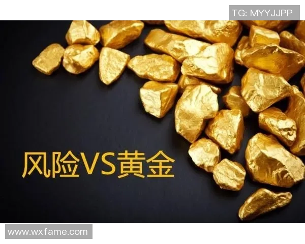 波动止损指标VS的实用技巧与应用分析探讨