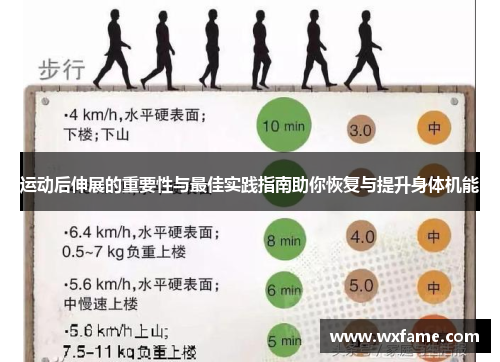 运动后伸展的重要性与最佳实践指南助你恢复与提升身体机能